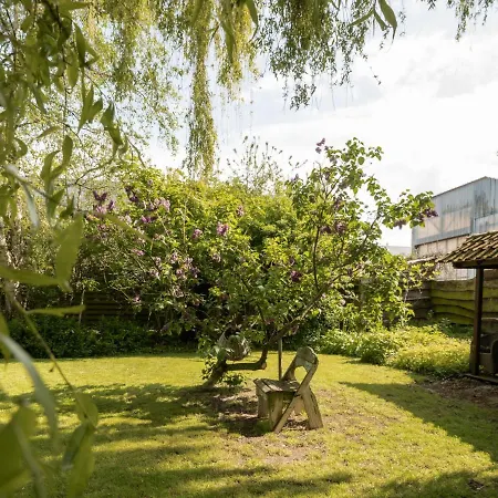 Domicile Adore With Garden By Interhome Ostende