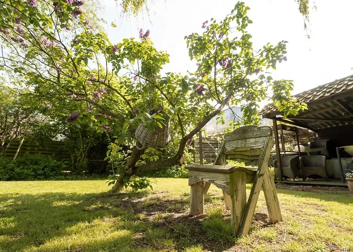 别墅 Domicile Adore With Garden By Interhome 奥斯滕德